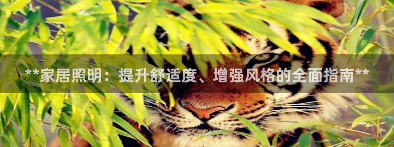 ug环球会员手机版下载官网
