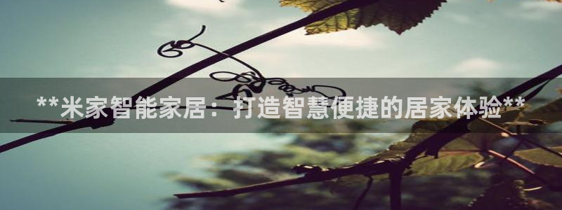 ug环球信用盘