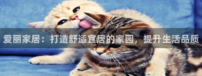 ug环球代理