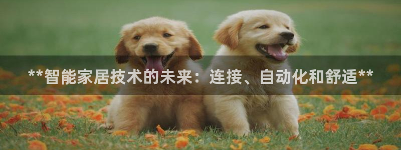 ug环球信用盘