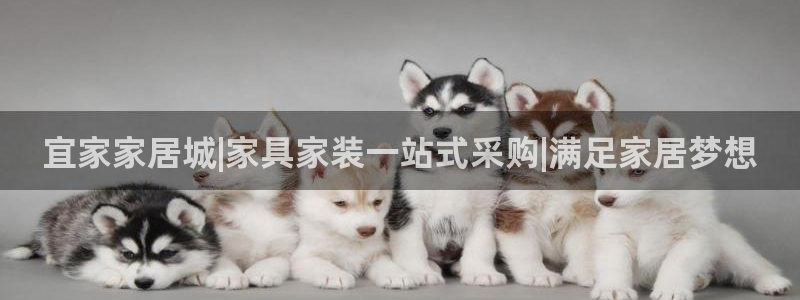 UG环球代理合作