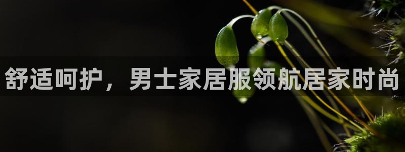 ug环球会员手机版下载