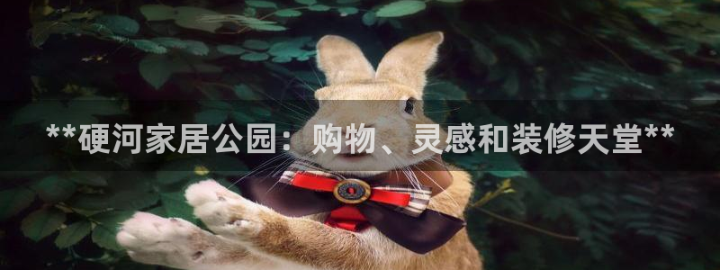ug环球官网会员