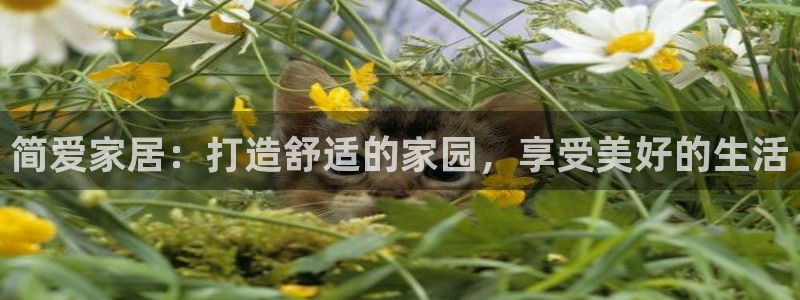 ug环球代理加盟