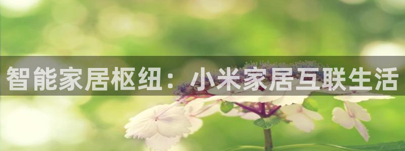 ug环球会员注册登录
