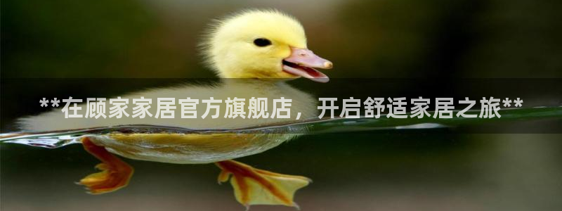 ug环球去唯xkk908