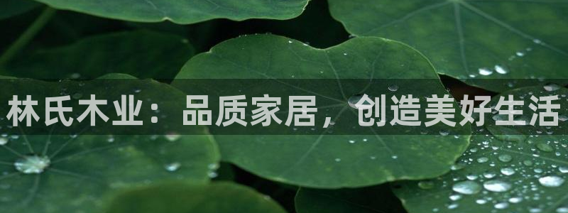 ug环球会员开户