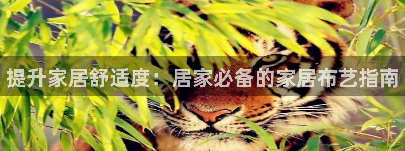 ug环球国际官网