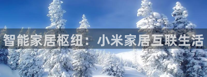 ug环球真假