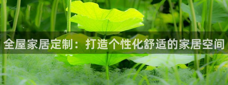ug环球官网24小时