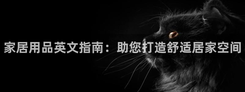 ug环球国际买分