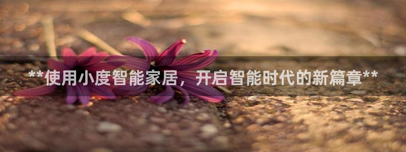 ug环球游戏网站官网