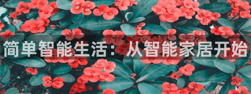 ug环球官网开户