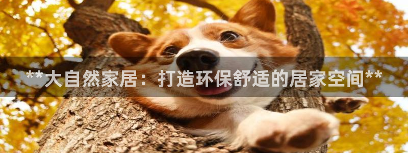 环球ug官网代理