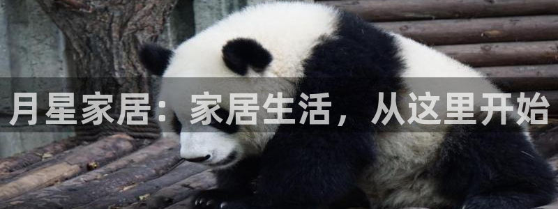 ug环球视讯真假