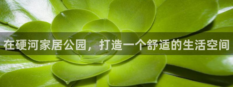 ug环球正网买分