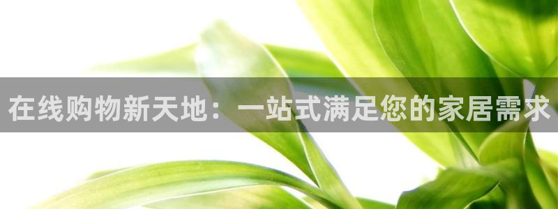 ug环球密码重置是多少位数