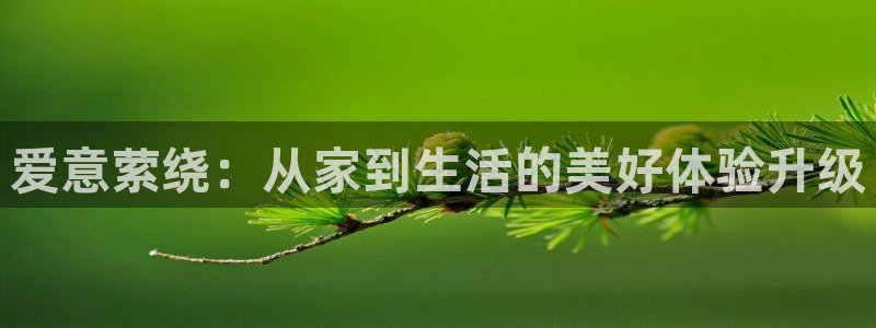 UG环球1比一
