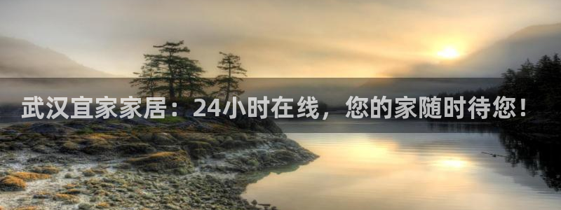 ug环球正网开户：武汉宜家家居：24小时