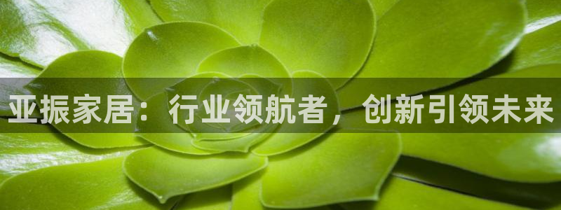 ug环球会员登陆