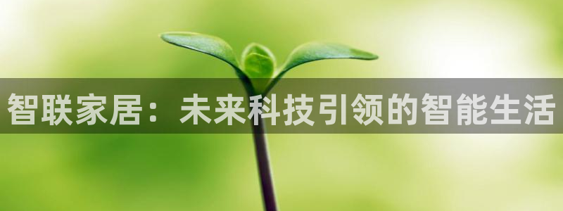 ug环球正网开户
