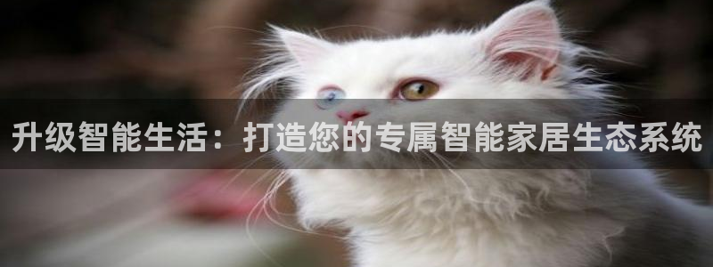 ug环球视讯手机版官网