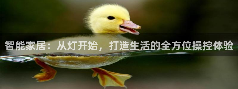 ug环球代理开户：智能家居：从灯开始，打