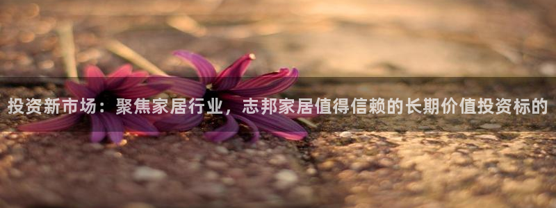 ug环球视讯手机版官网