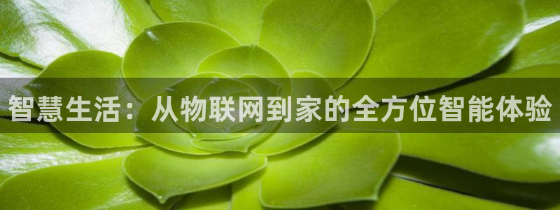 UG环球代理